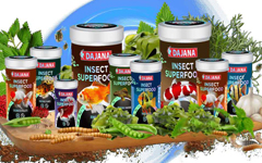 Dajana Balık Yemleri